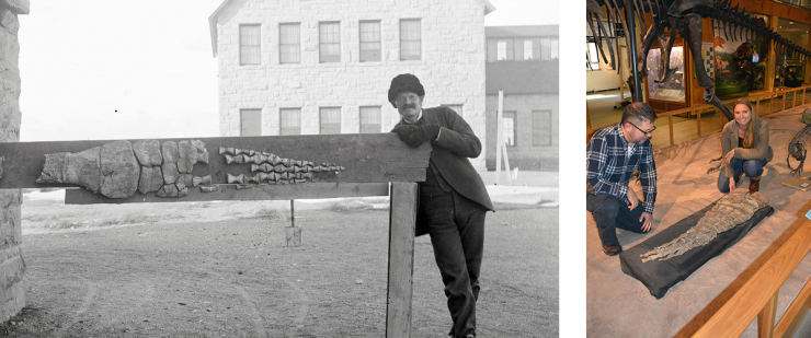 A historic photo of the UW Geology Museum curator in 1912 posing with a fossil. In a juxtaposed image, the contemporary curator and museum manager pose with the same specimen in the UW Geology Museum.