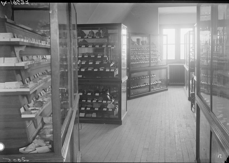 An image of specimen cabinets in the natural history museum, Old Main, early in the 20th century.  